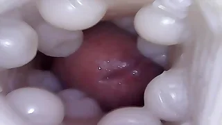 Gay Porn 16